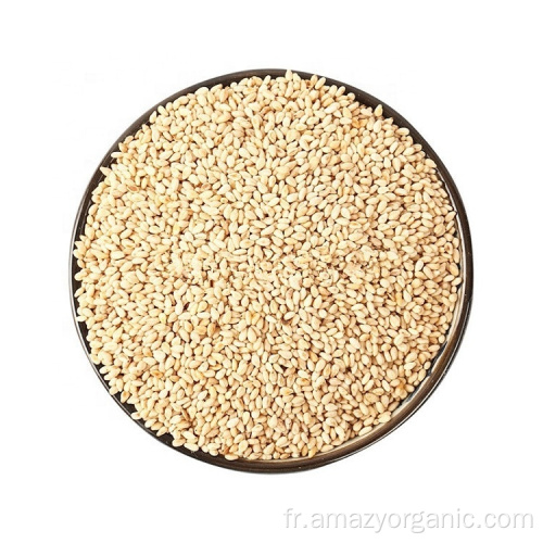 Graines de Quinoa Blanc Bio
